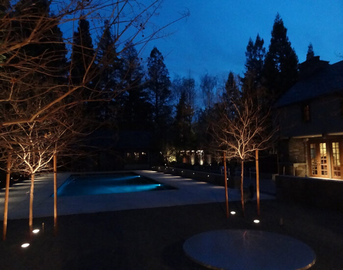 Residential Landscape Pool and Tree Lighting